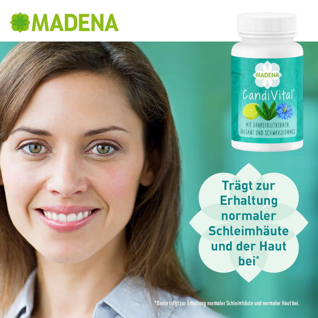 Vorschaubild 4