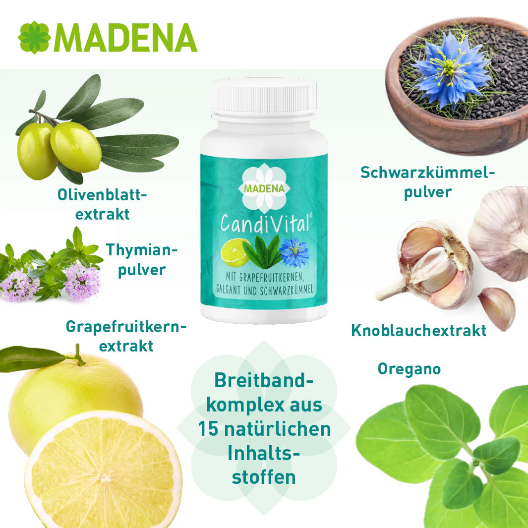 Vorschaubild 6