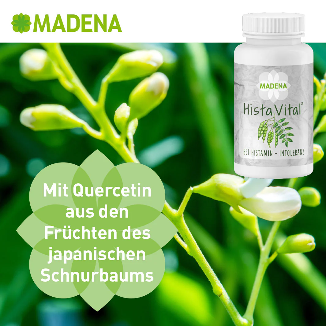 Vorschaubild 7