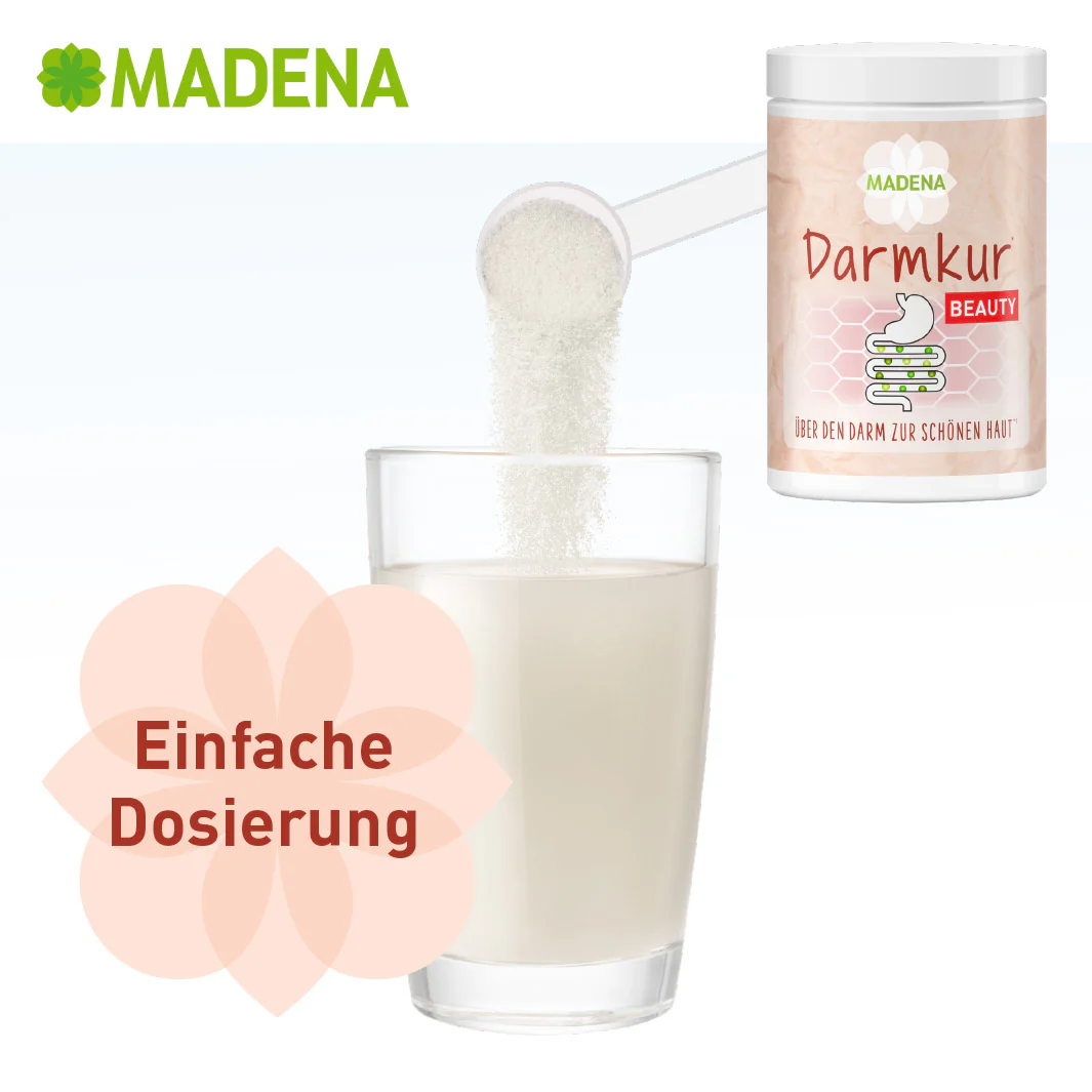 Vorschaubild 11