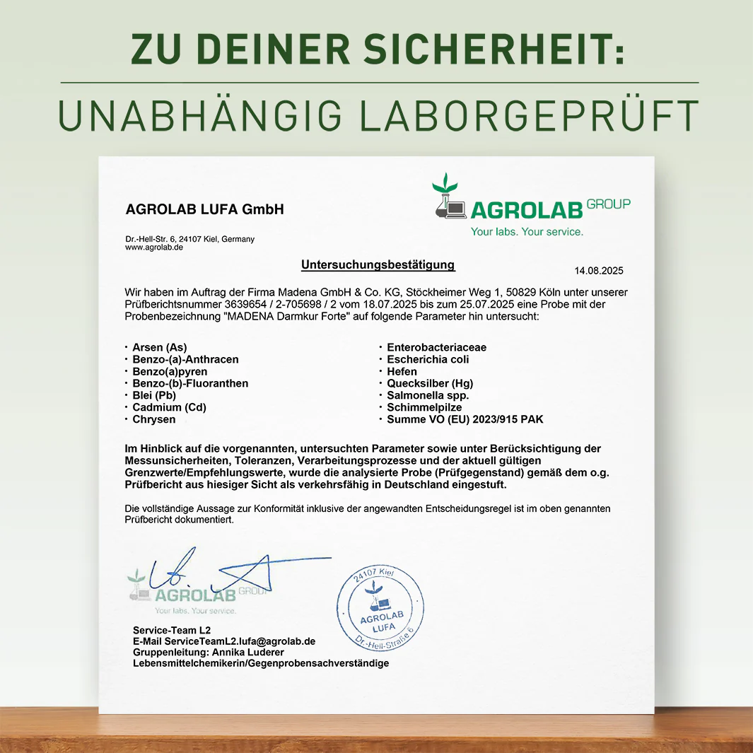 Vorschaubild 4