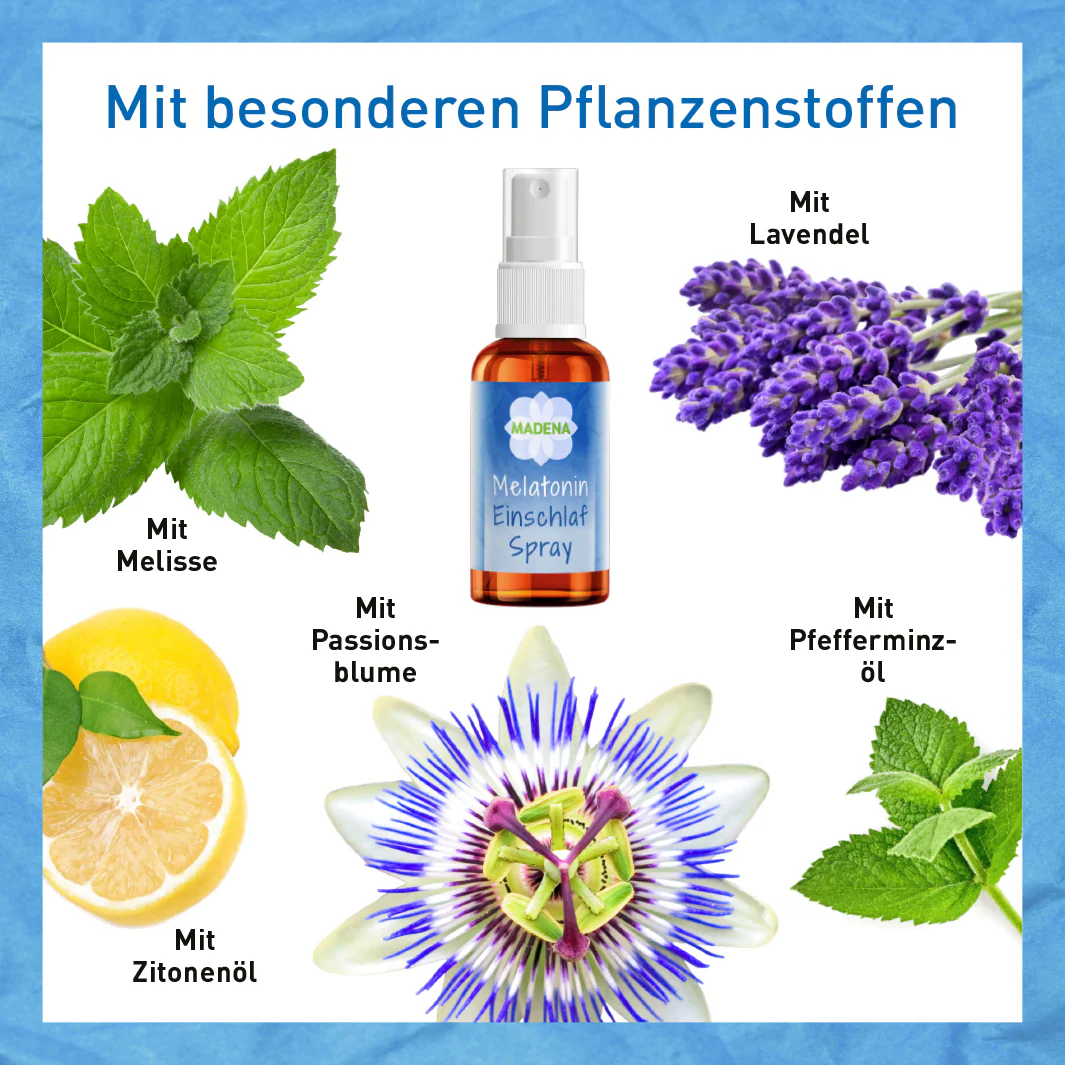 Vorschaubild 6