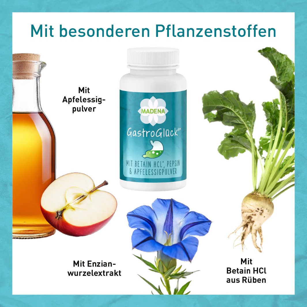 Vorschaubild 7
