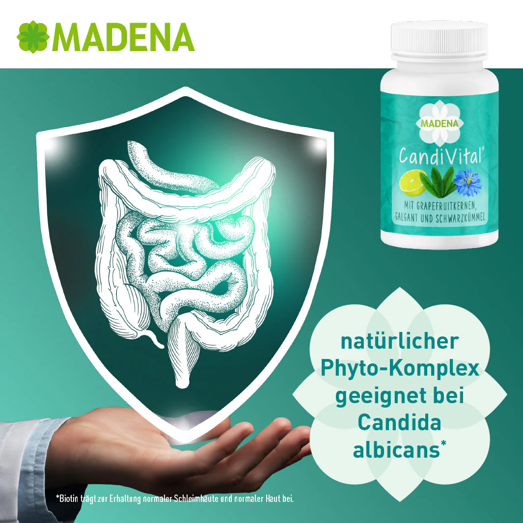 Vorschaubild 18