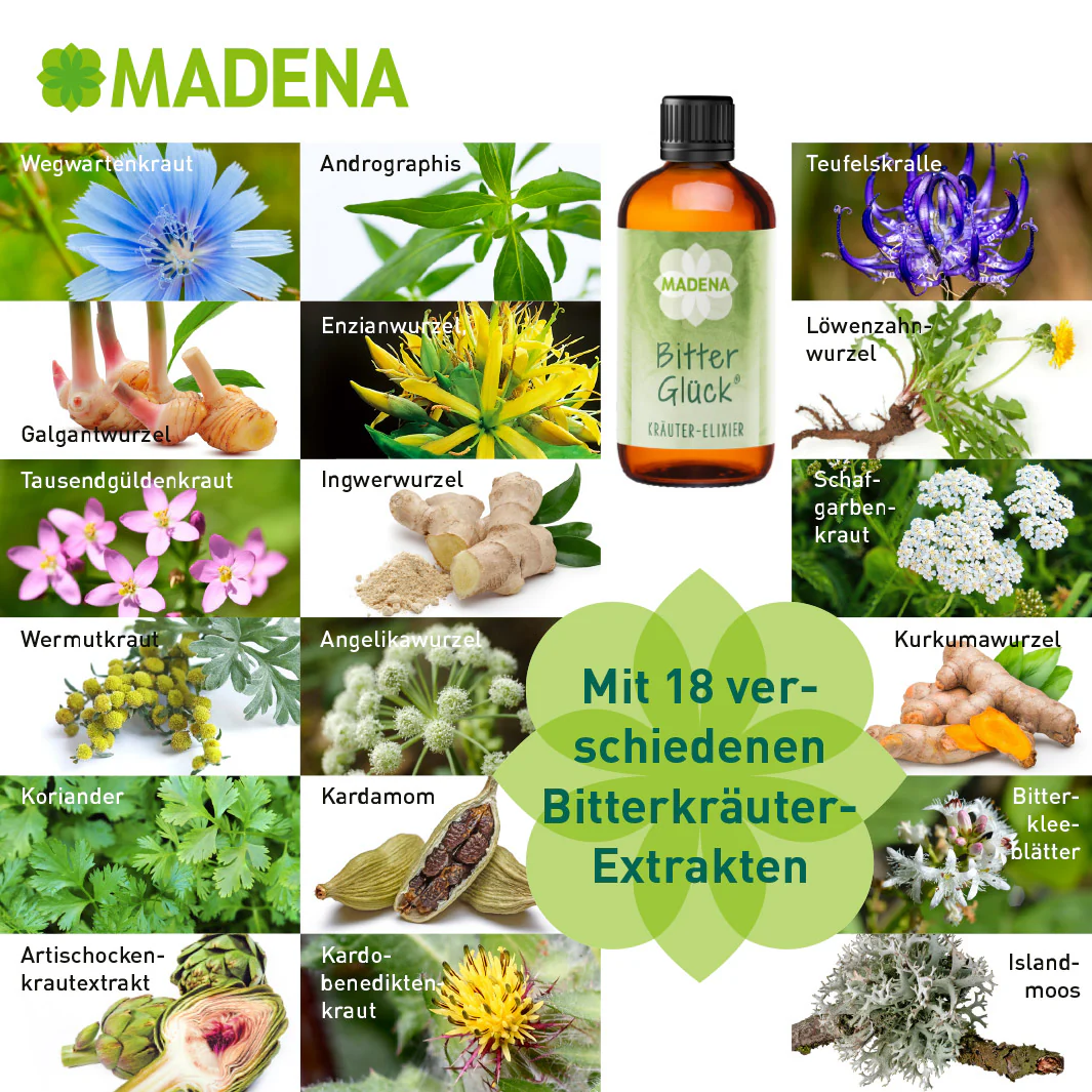 Vorschaubild 11