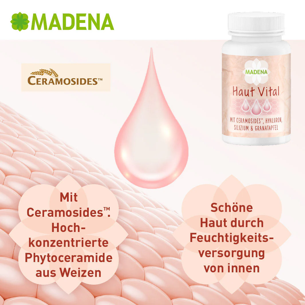 Vorschaubild 5