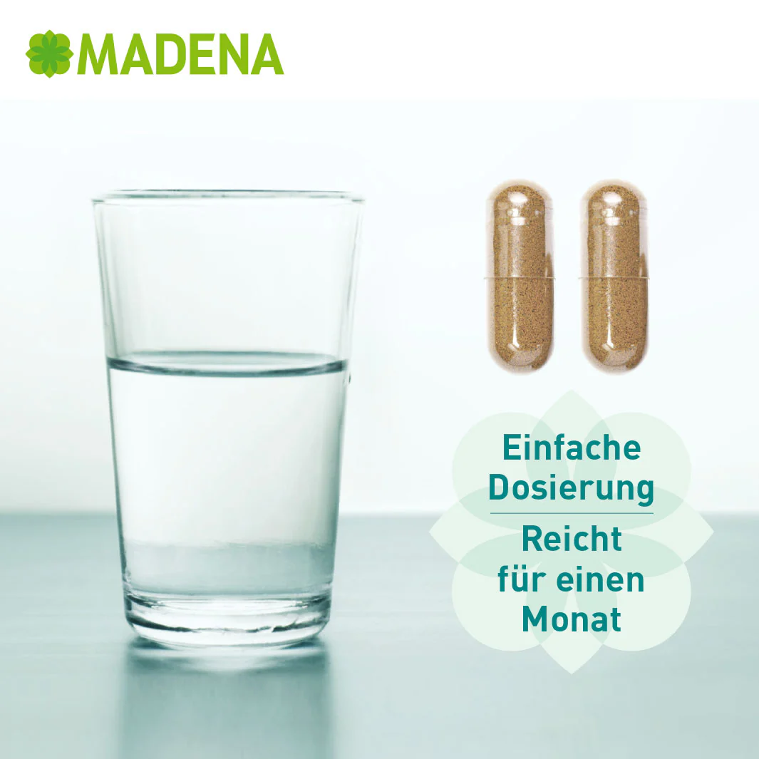 Vorschaubild 14