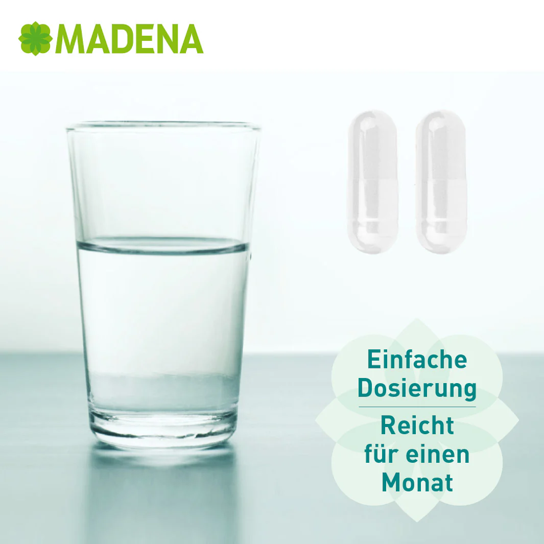 Vorschaubild 15