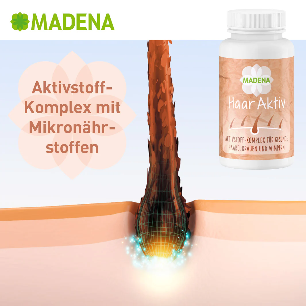 Vorschaubild 14