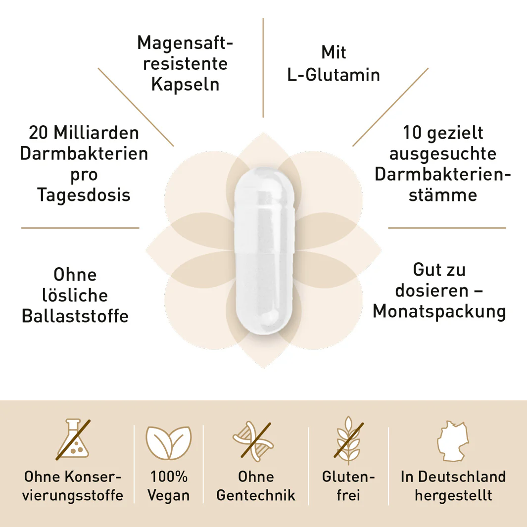 Vorschaubild 19