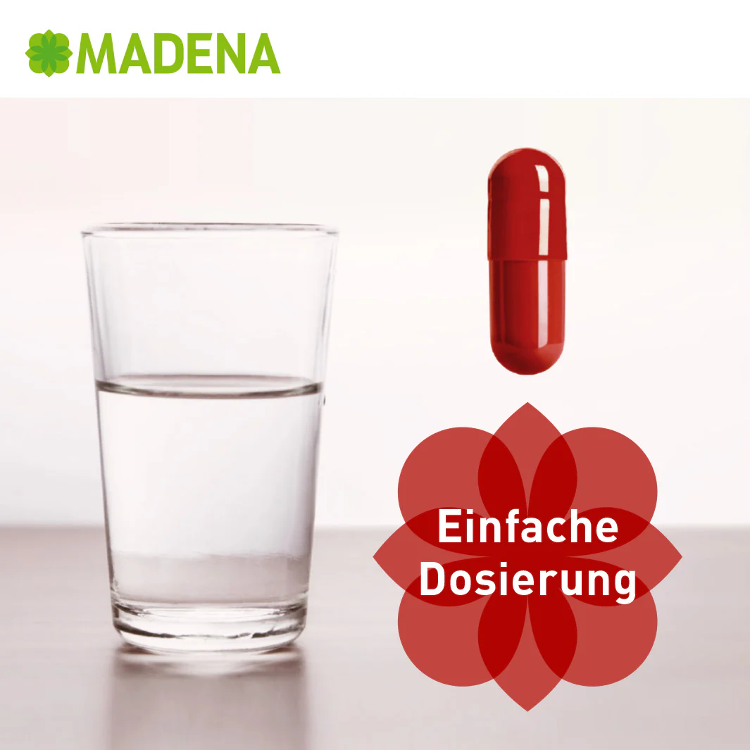 Vorschaubild 10