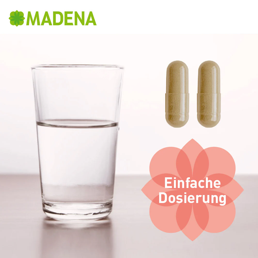 Vorschaubild 11