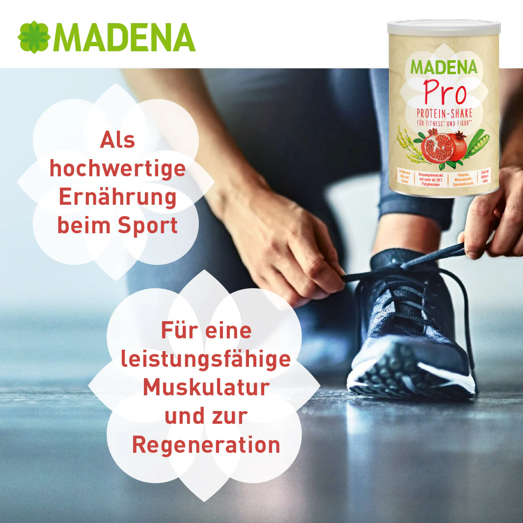 Vorschaubild 7