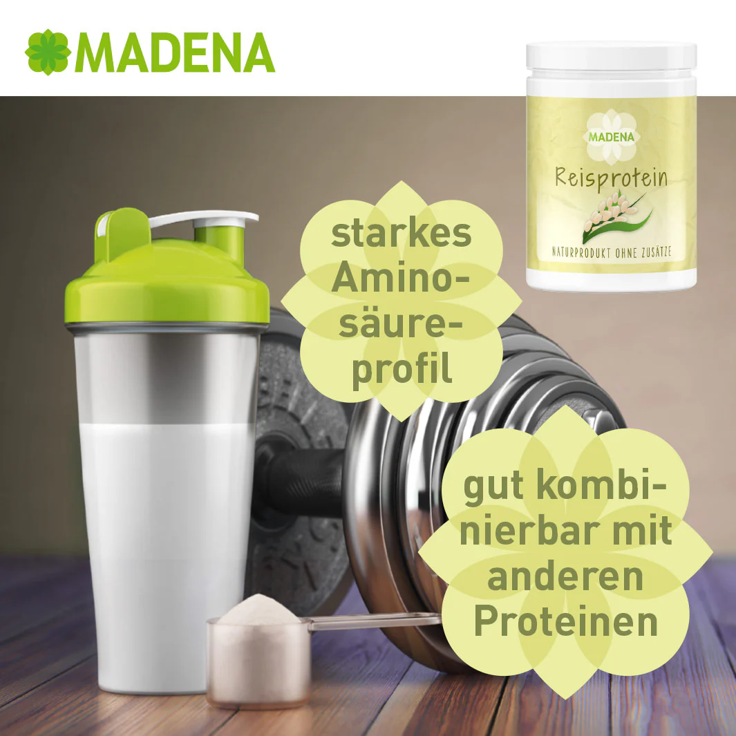 Vorschaubild 7