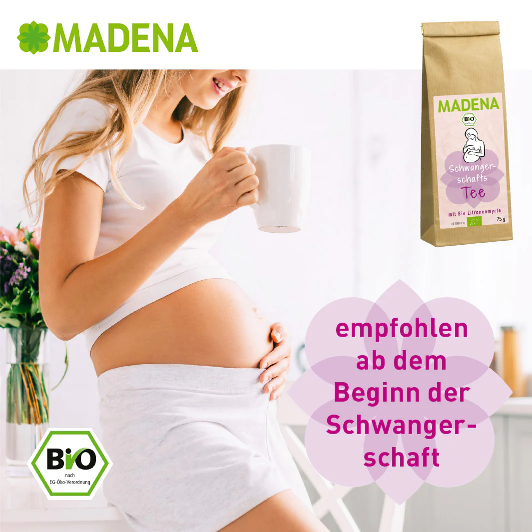Vorschaubild 4