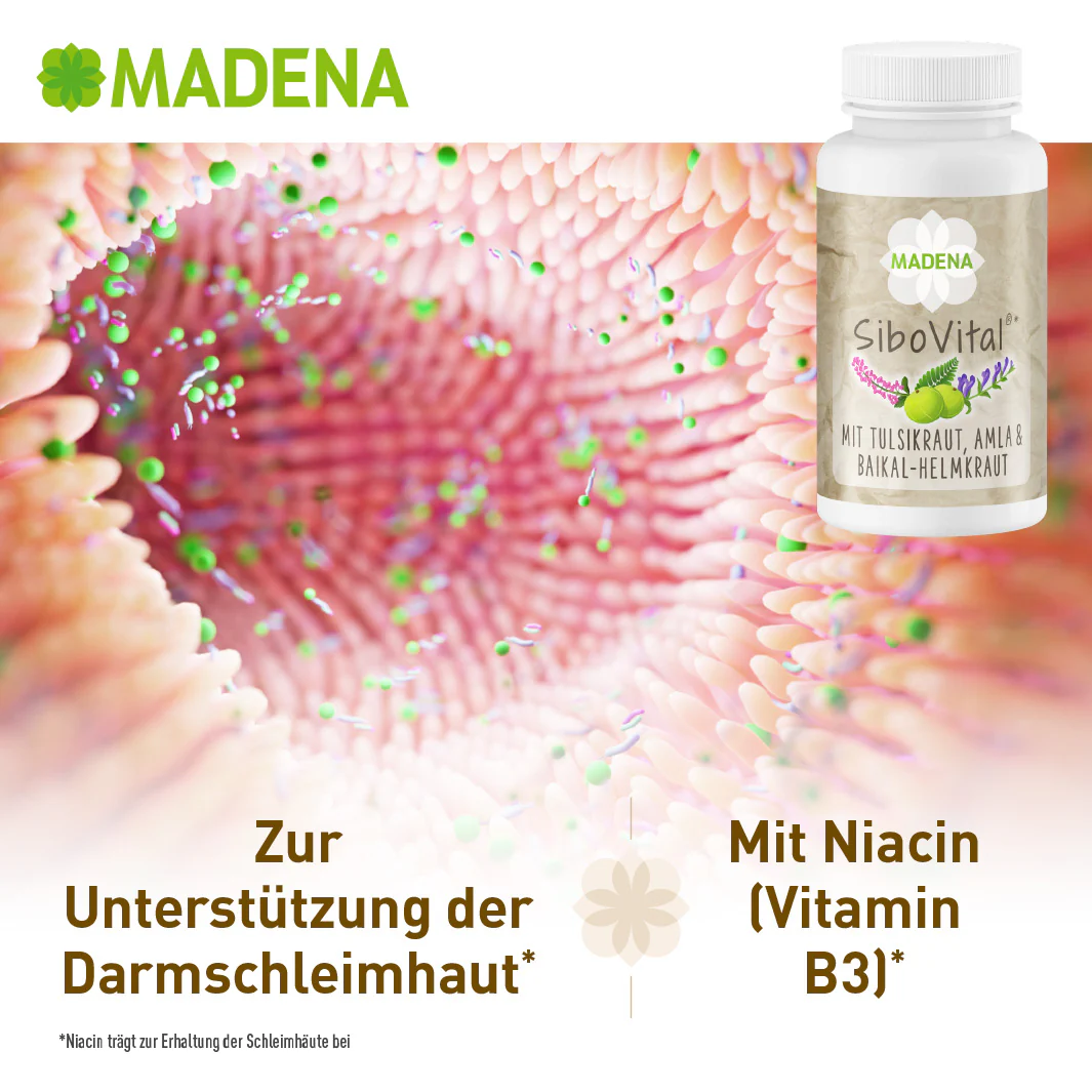 Vorschaubild 12