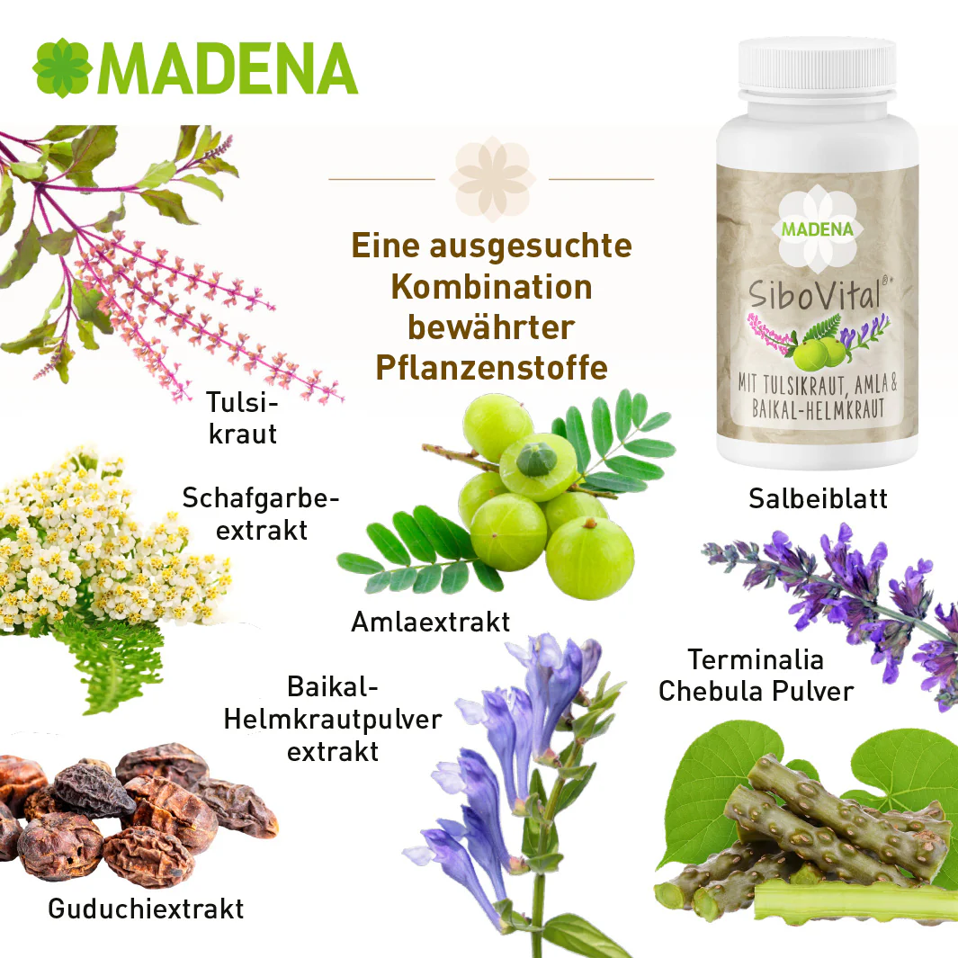 Vorschaubild 13