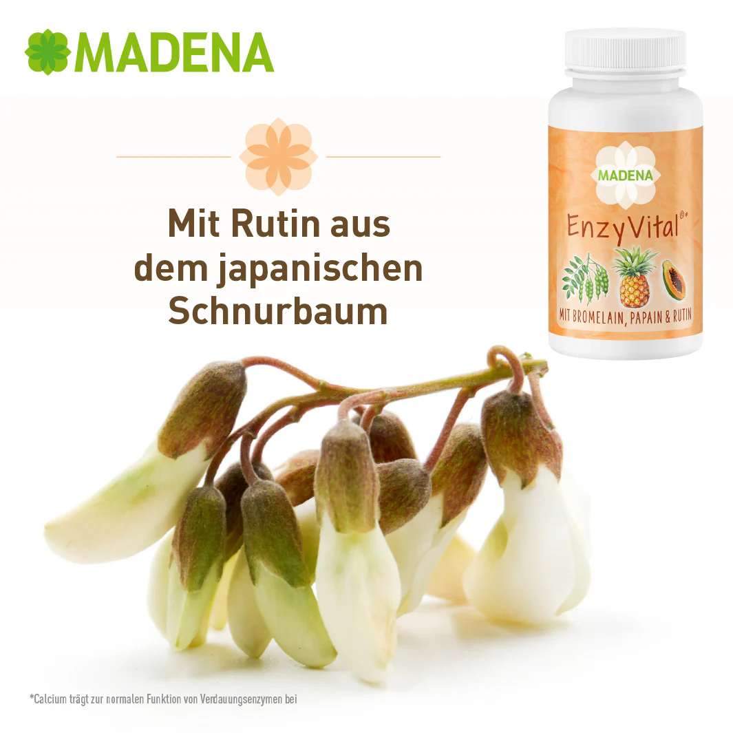 Vorschaubild 18