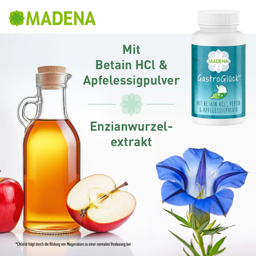 Vorschaubild 24