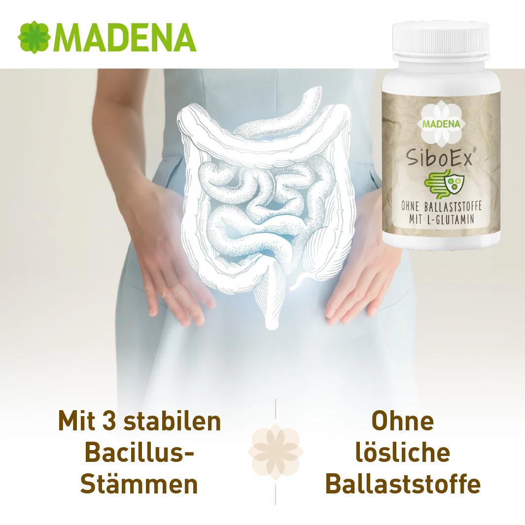 Vorschaubild 6