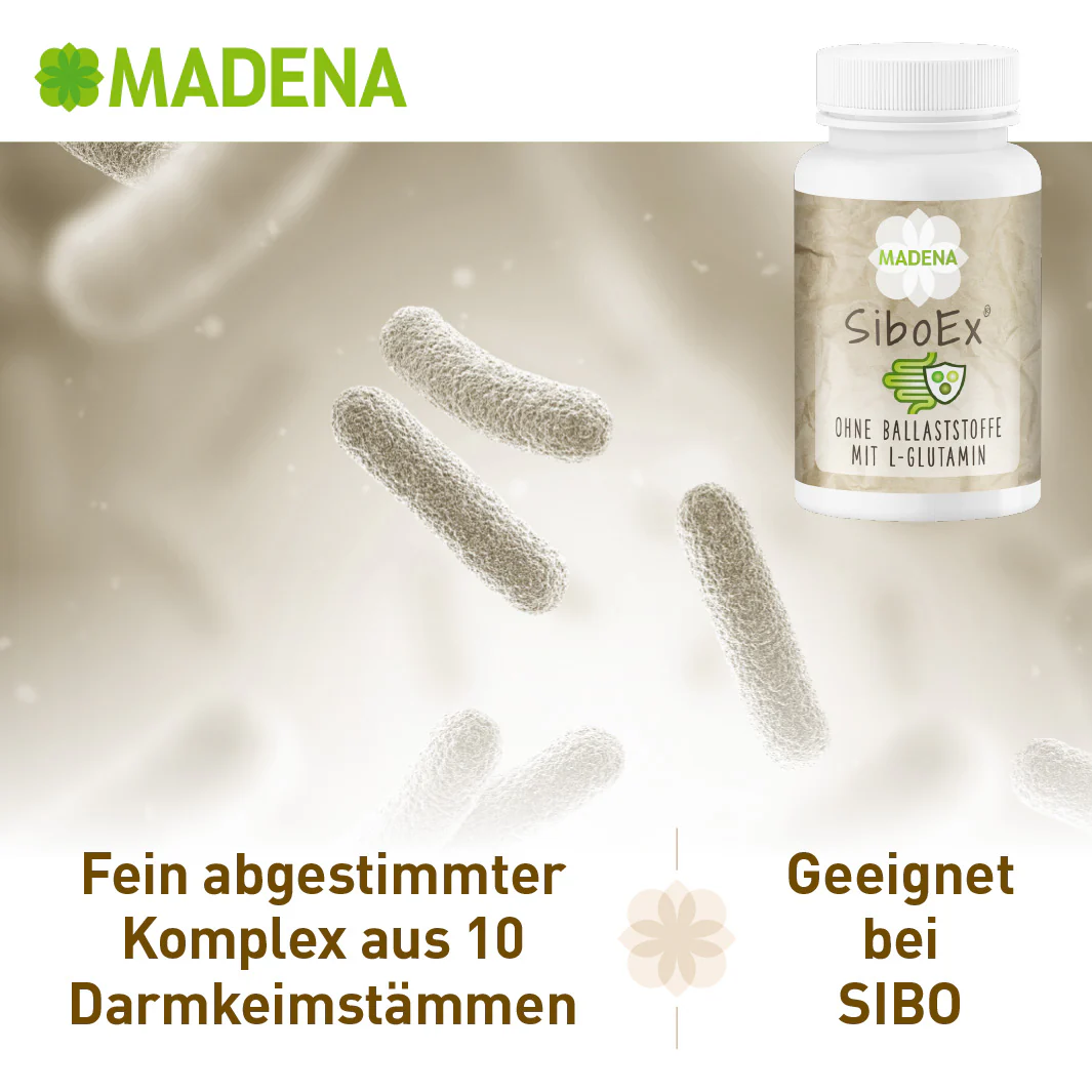 Vorschaubild 4