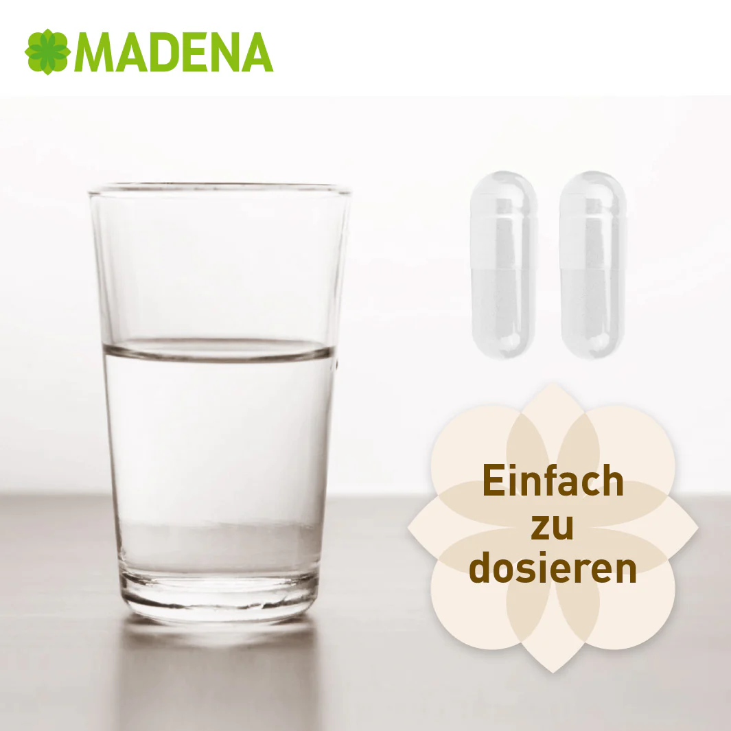 Vorschaubild 9