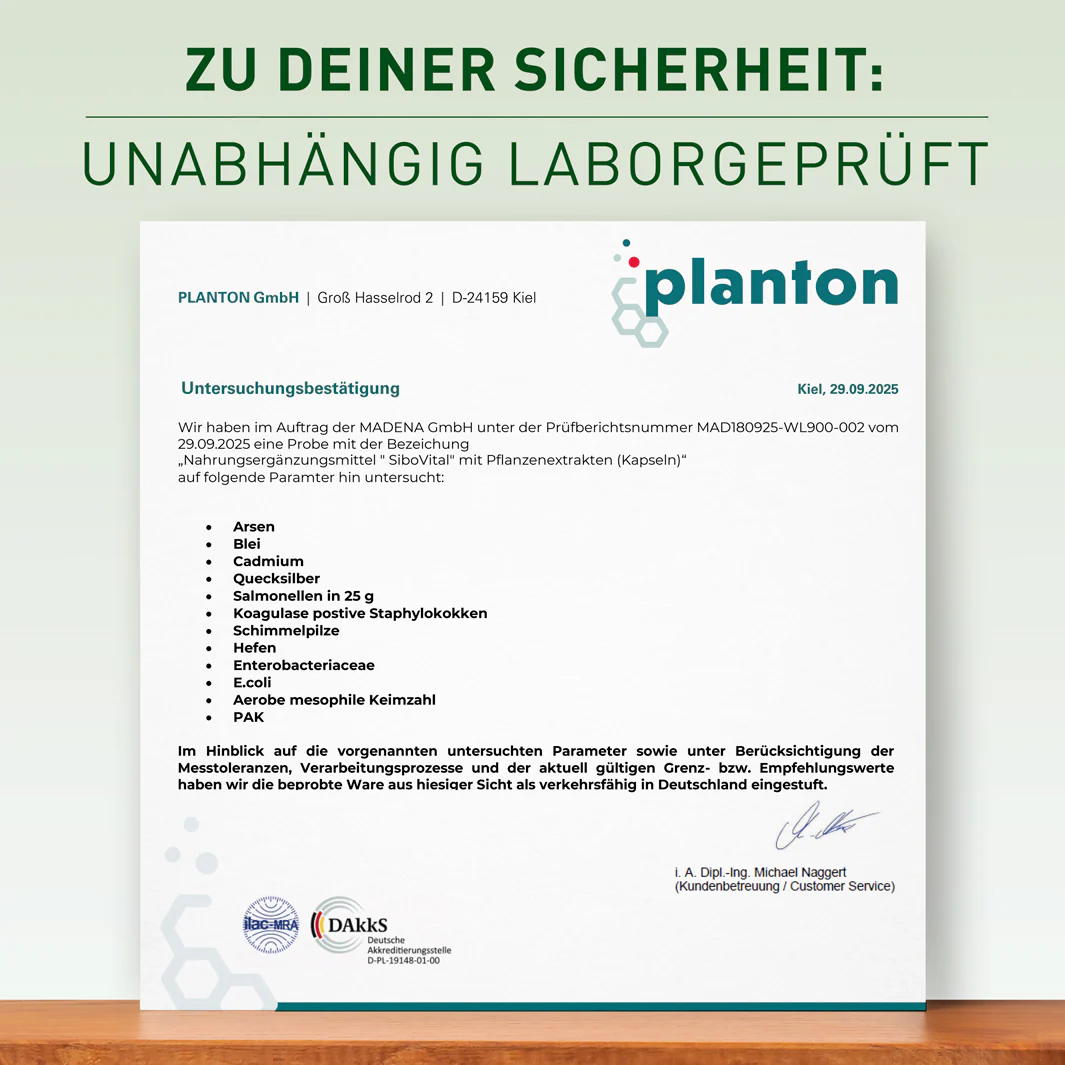 Vorschaubild 7