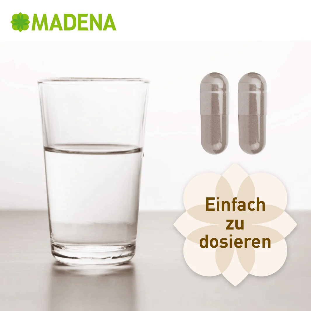 Vorschaubild 8
