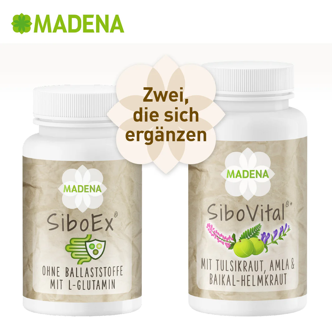 Vorschaubild 9