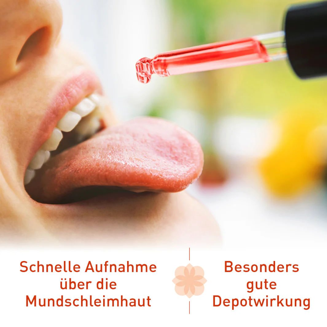 Vorschaubild 8